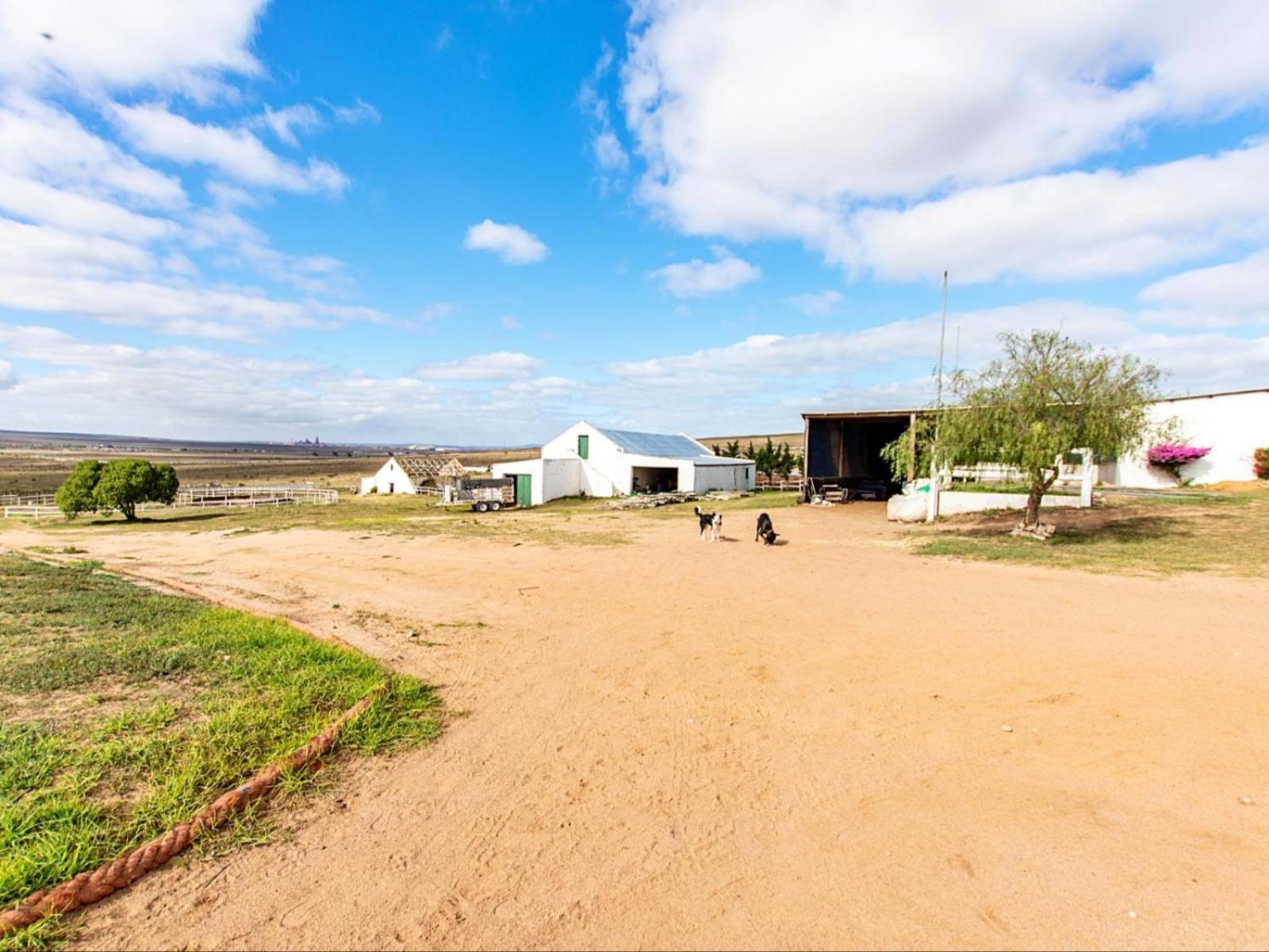 Wiggins Self Catering Apartman Jacobs Bay Kültér fotó